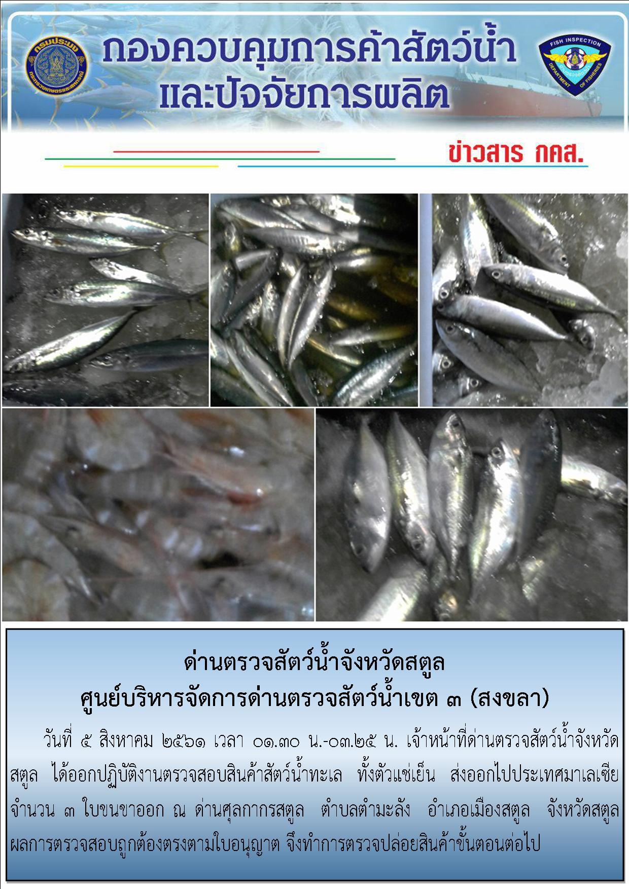 ประชาสัมพันธ์การปฏิบัติงานด่านตรวจสัตว์น้ำจังหวัดสตูล ประจำวันที่ 5 สิงหาคม  2561..คลิก