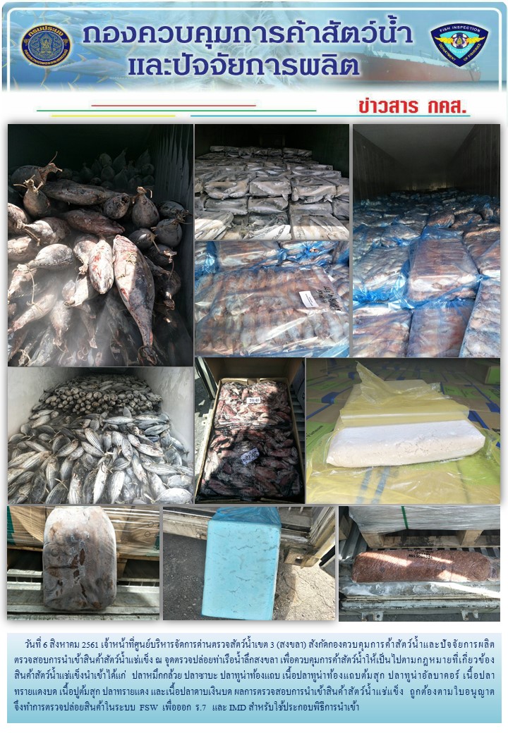 เจ้าหน้าที่ศูนย์บริหารจัดการด่านตรวจสัตว์น้ำเขต 3 (สงขลา) สังกัดกองควบคุมการค้าสัตว์น้ำและปัจจัยการผลิต ตรวจสอบการนำเข้าสินค้าสัตว์น้ำประเภทตู้คอนเทนเนอร์ ณ จุดตรวจปล่อยท่าเรือน้ำลึกสงขลา..คลิก
