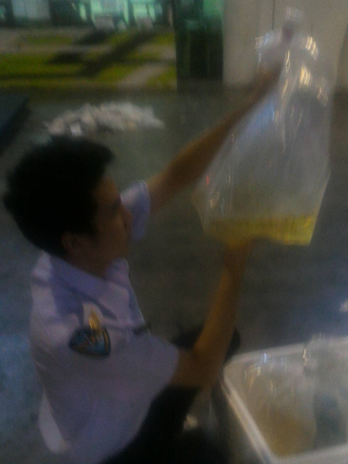 ด่านตรวจสัตว์นำ้ท่าอากาศยานดอนเมือง ตรวจสอบสินค้าสัตว์นำ้ส่งออก..คลิก