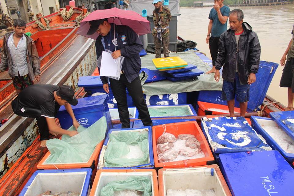 ตรวจสอบเรือและสินค้านำเข้าจากประเทศ MYANMAR
