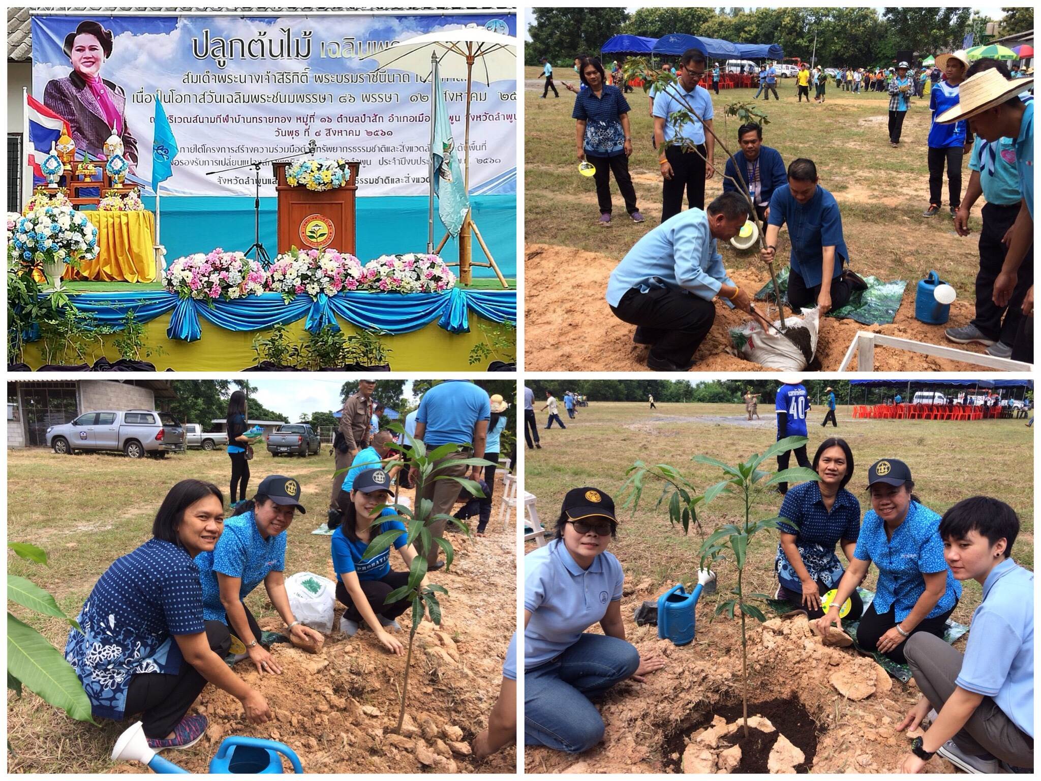 ปลูกต้นไม้เฉลิมพระเกียรติ สมเด็จพระนางเจ้าสิริกิติ์ พระบรมราชินีนาถในรัชกาลที่ 9..คลิก