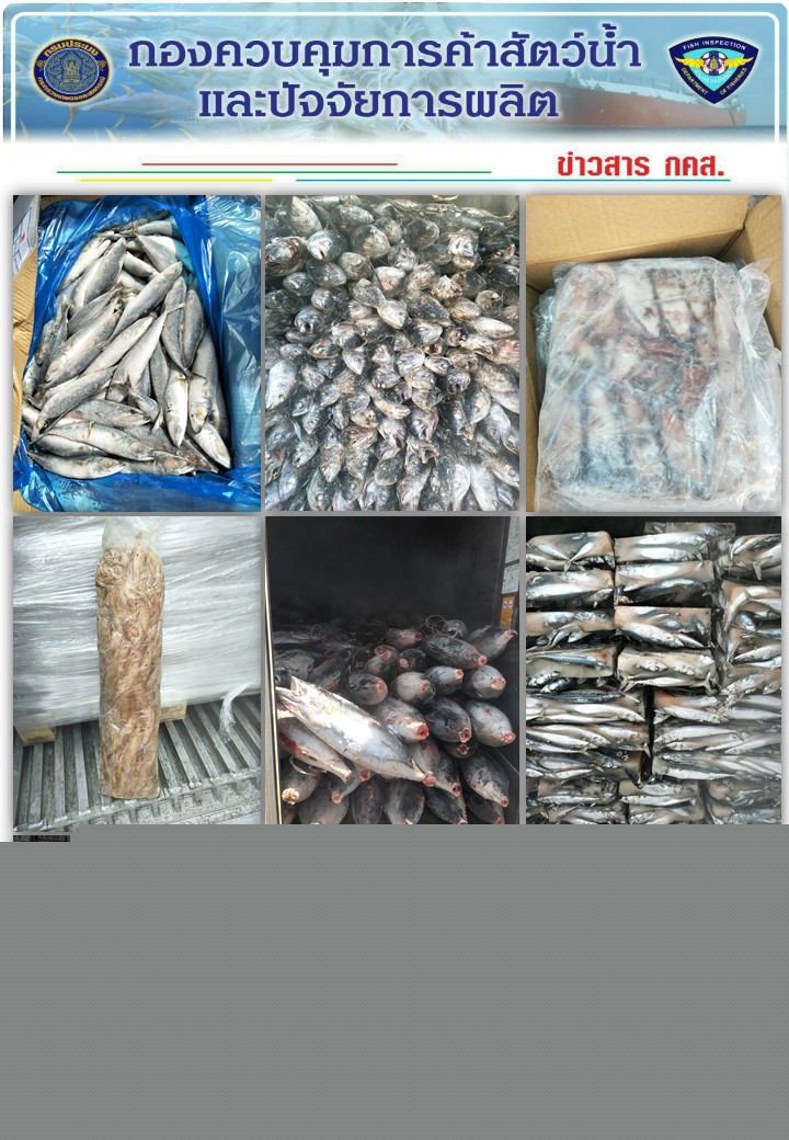 เจ้าหน้าที่ศูนย์บริหารจัดการด่านตรวจสัตว์น้ำเขต 3 (สงขลา) สังกัดกองควบคุมการค้าสัตว์น้ำและปัจจัยการผลิต ตรวจสอบการนำเข้าสินค้าสัตว์น้ำประเภทตู้คอนเทนเนอร์ ณ จุดตรวจปล่อยท่าเรือน้ำลึกสงขลา..คลิก
