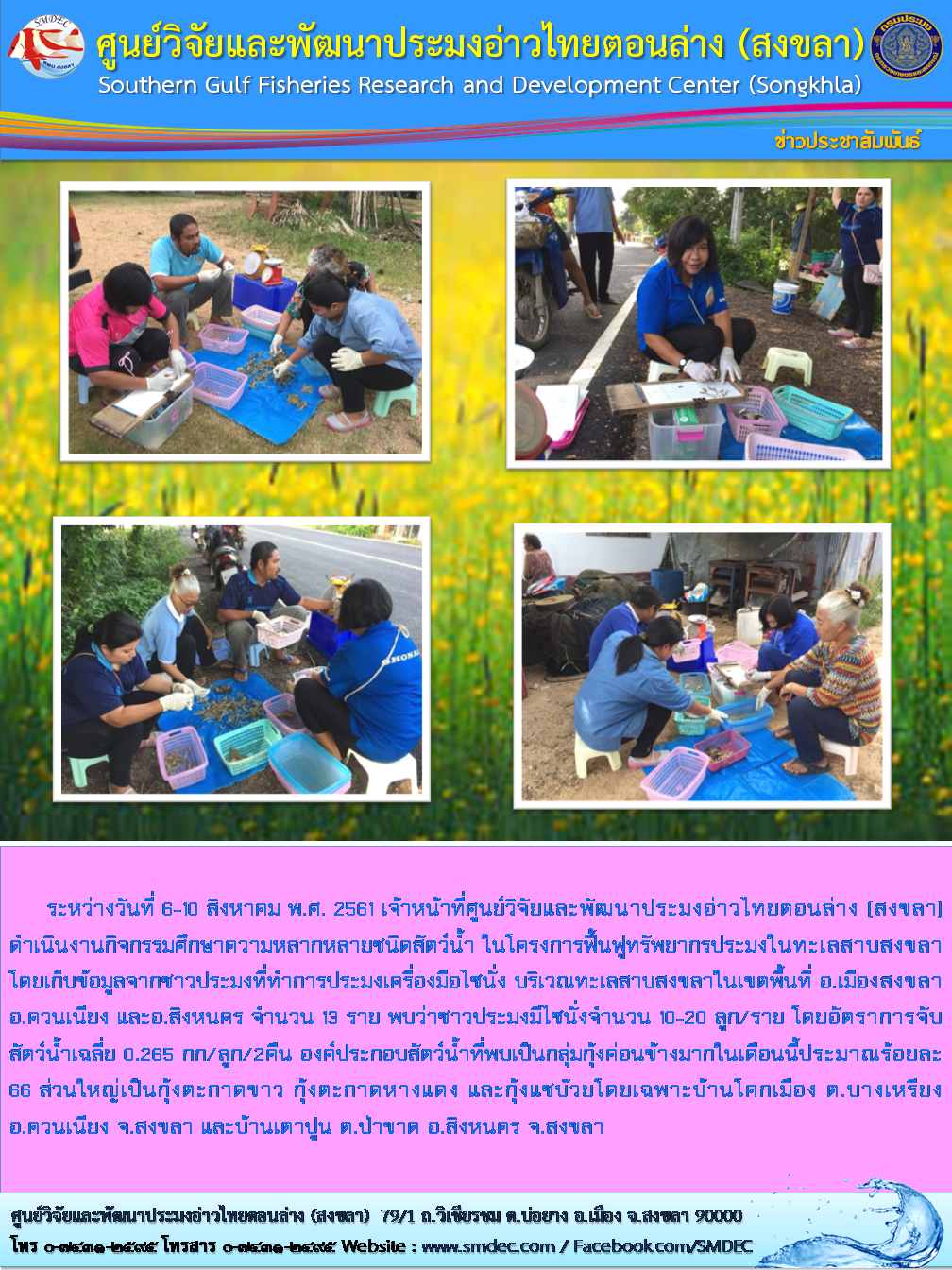 เก็บข้อมูลจากชาวประมงที่ทำการประมงเครื่องมือไซนั่ง บริเวณทะเลสาบสงขลาในเขตพื้นที่.....คลิก