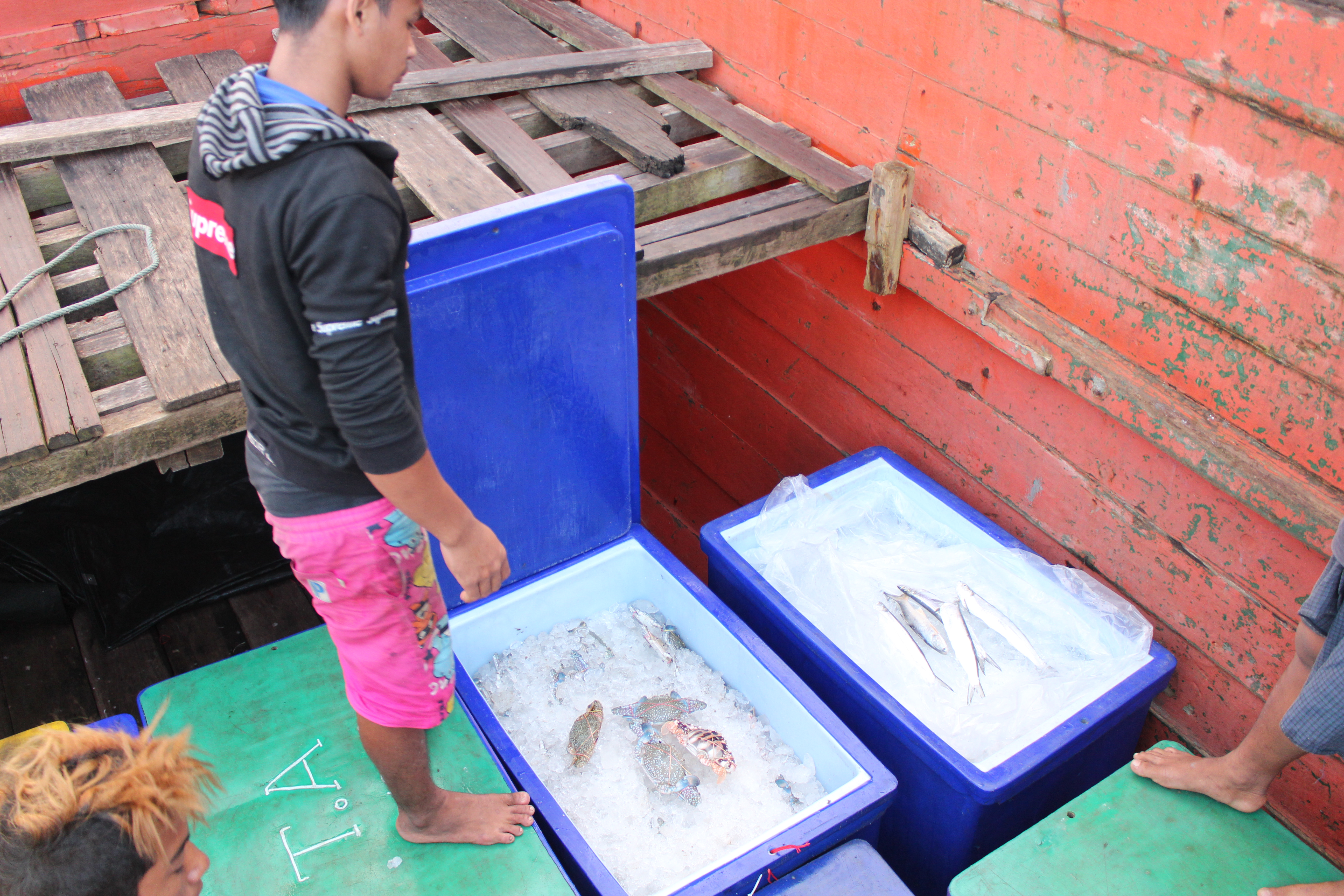 ตรวจสอบเรือและสินค้านำเข้าจากประเทศ MYANMAR