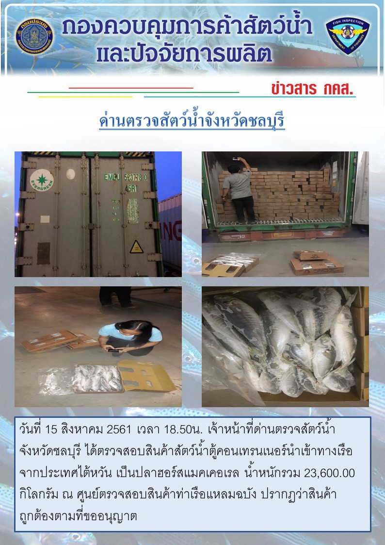 การปฏิบัติงานตรวจสอบสินค้าสัตว์น้ำตู้คอนเทรนเนอร์นำเข้าทางเรือประจำวันที่ 15 สิงหาคม 2561..คลิก