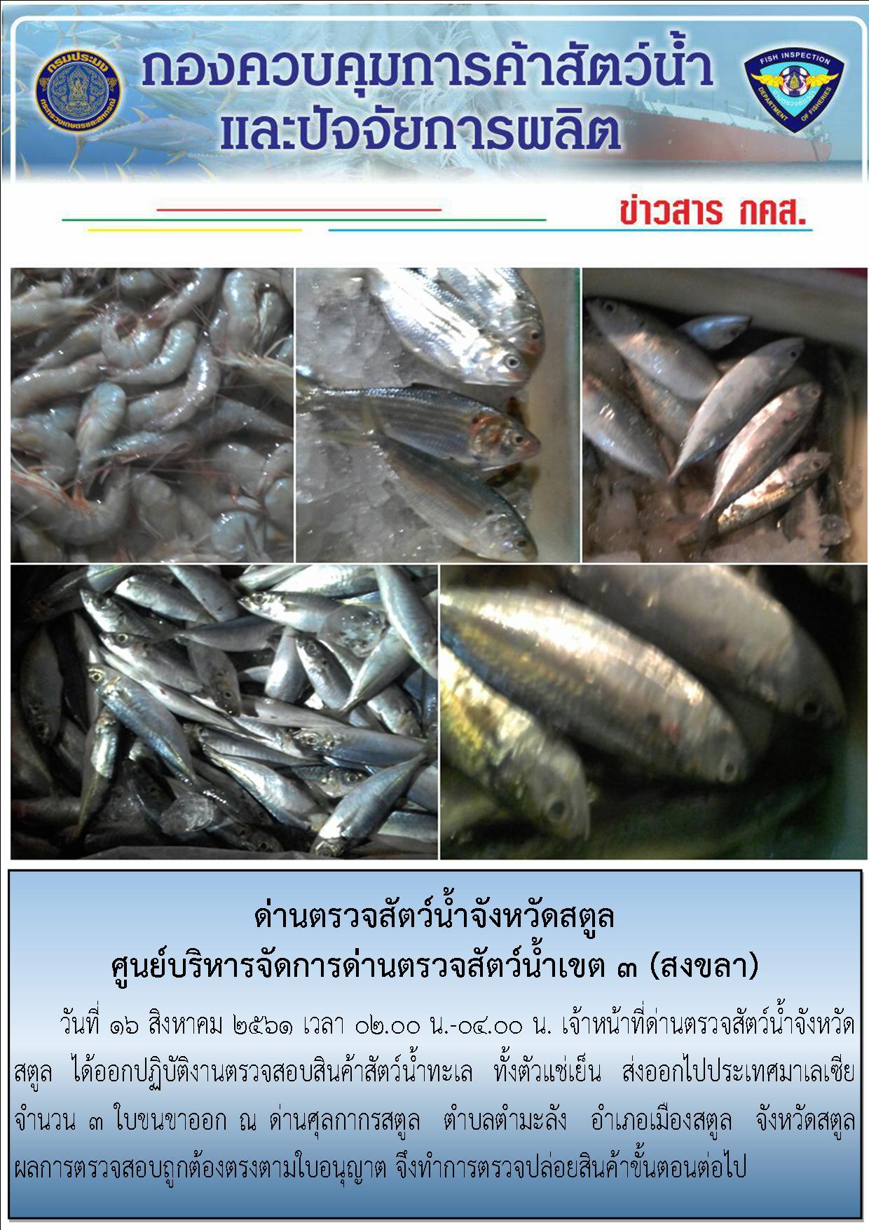 ประชาสัมพันธ์การปฏิบัติงานด่านตรวจสัตว์น้ำจังหวัดสตูล ประจำวันที่ 16 สิงหาคม  2561..คลิก