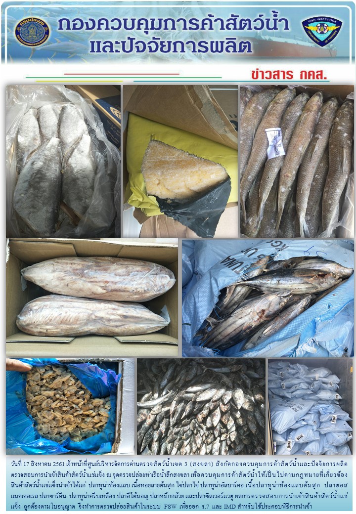 เจ้าหน้าที่ศูนย์บริหารจัดการด่านตรวจสัตว์น้ำเขต 3 (สงขลา) สังกัดกองควบคุมการค้าสัตว์น้ำและปัจจัยการผลิต ตรวจสอบการนำเข้าสินค้าสัตว์น้ำประเภทตู้คอนเทนเนอร์ ณ จุดตรวจปล่อยท่าเรือน้ำลึกสงขลา..คลิก