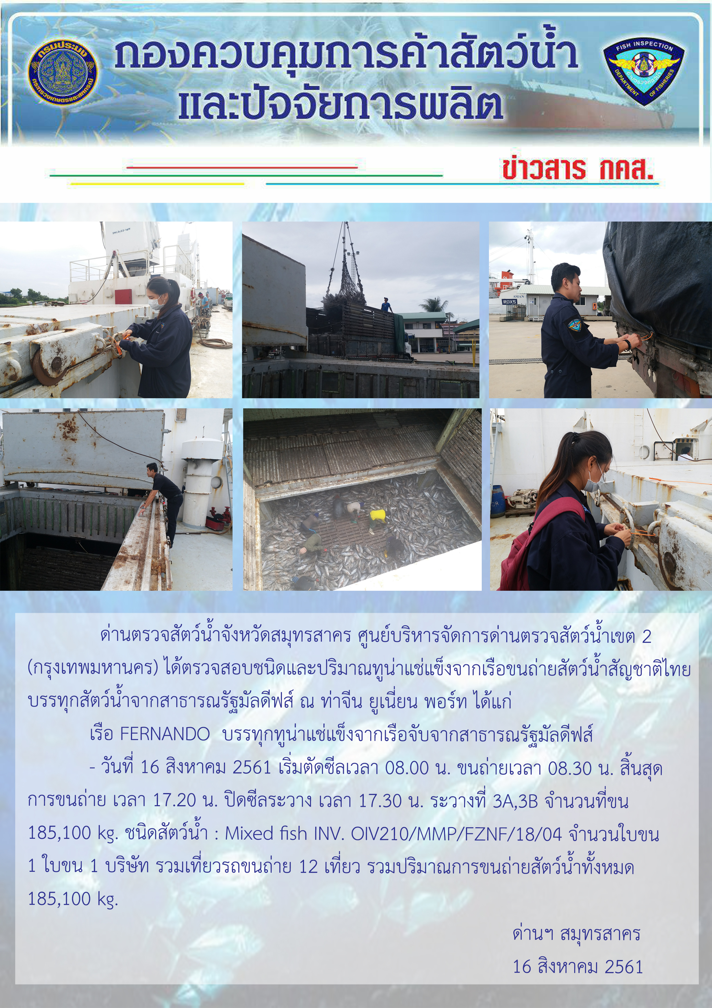 การปฏิบัติงานตรวจสอบสัตว์น้ำนำเข้าจากประเทศมัลดีฟส์ ในวันที่ 16 สิงหาคม 2561..คลิก