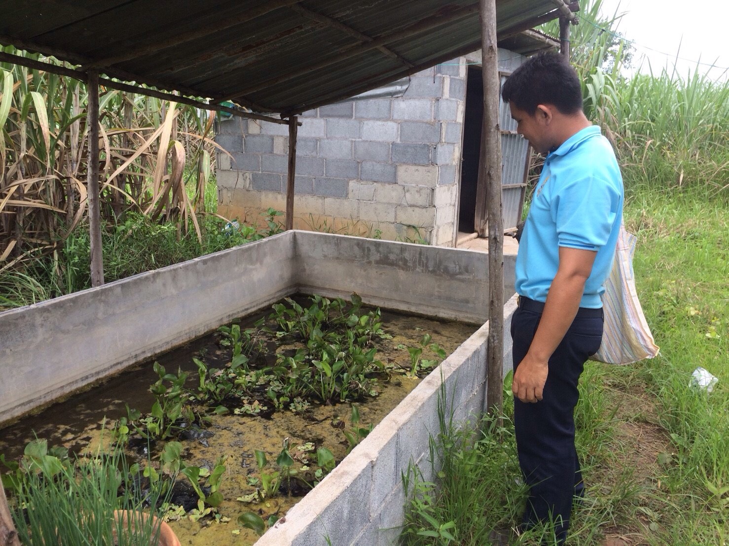 วันที่ ๒๑ สิงหาคม ๒๕๖๑ ออกปฏิบัติงานตรวจติดตามให้คำแนะนำด้านประมงแก่เกษตรกรที่ร่วมโครงการเพิ่มทักษะอาชีพแก่เกษตรกรผู้ลงทะเบียนเพื่อสวัสดิการแห่งรัฐ (ภาคประมง) ปี ๒๕๖๑ ในพื้นที่อำเภอนากลาง..คลิก