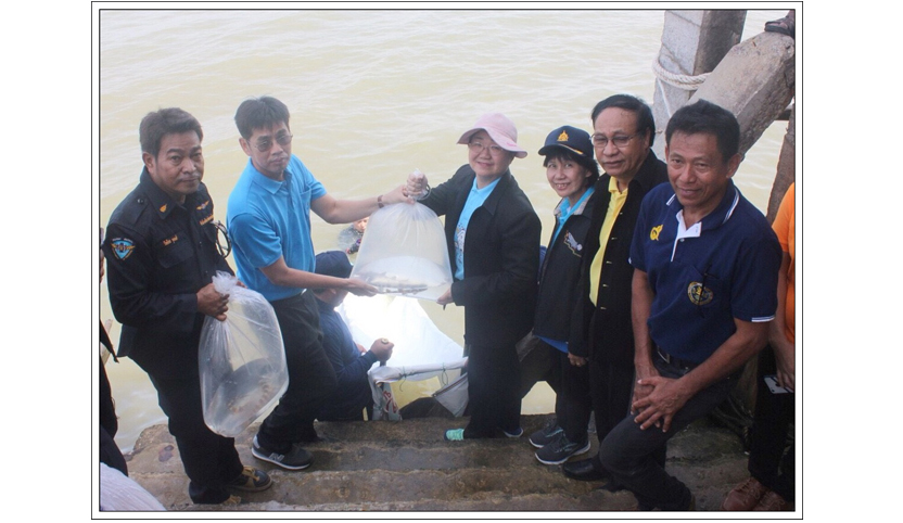จัดกิจกรรมการปล่อยพันธุ์สัตว์น้ำเพื่อการฟื้นฟูและอนุรักษ์ทรัพยากรสัตว์น้ำในแหล่งปะการังเทียม ภายใต้โครงการ “อนุรักษ์แนวปะการังและสิ่งมีชีวิตใต้ทะเลไทย ในพระดำริพระเจ้าหลานเธอพระองค์เจ้าสิริวัณณวรีนารีรัตน์” ..คลิก