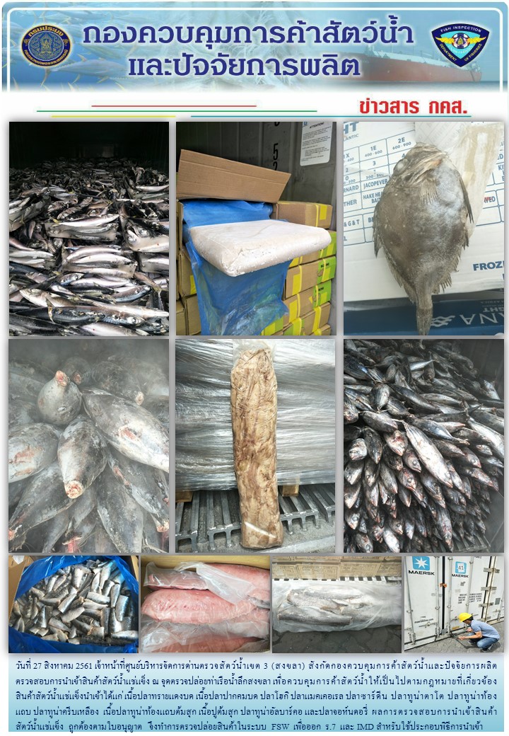 เจ้าหน้าที่ศูนย์บริหารจัดการด่านตรวจสัตว์น้ำเขต 3 (สงขลา) สังกัดกองควบคุมการค้าสัตว์น้ำและปัจจัยการผลิต ตรวจสอบการนำเข้าสินค้าสัตว์น้ำประเภทตู้คอนเทนเนอร์ ณ จุดตรวจปล่อยท่าเรือน้ำลึกสงขลา..คลิก