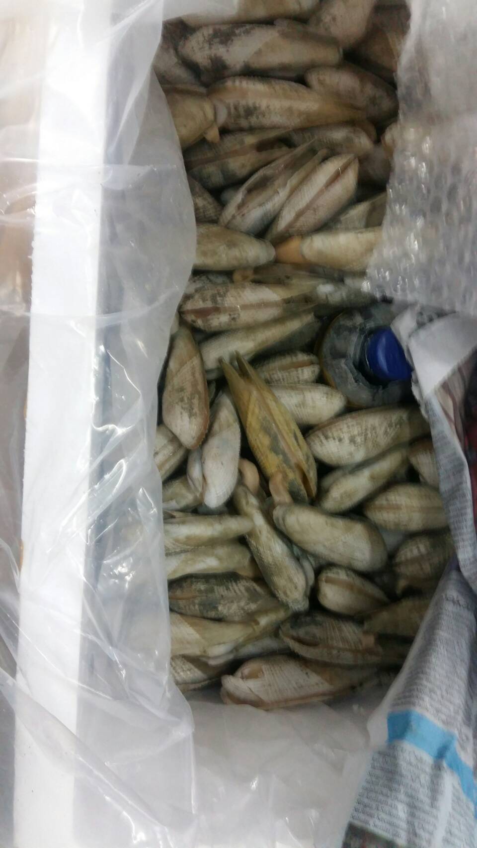 ตรวจสอบสินค้าสัตว์น้ำนำเข้า..คลิก