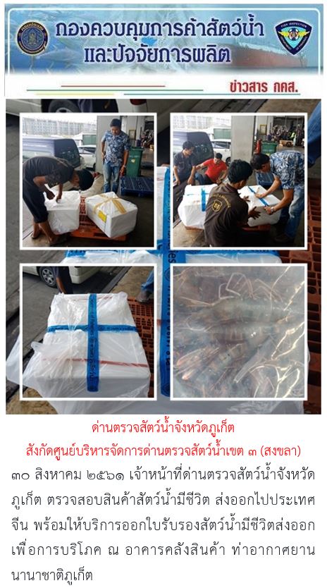 30 สิงหาคม 2561 เจ้าหน้าที่ด่านตรวจสัตว์น้ำจังหวัดภูเก็ต ตรวจสอบสินค้าสัตว์น้ำมีชีวิต ส่งออกไปประเทศจีน พร้อมให้บริการออกใบรับรองสัตว์น้ำมีชีวิตส่งออกเพื่อการบริโภค ณ อาคารคลังสินค้า ท่าอากาศยานนานาชาติภูเก็ต..คลิก