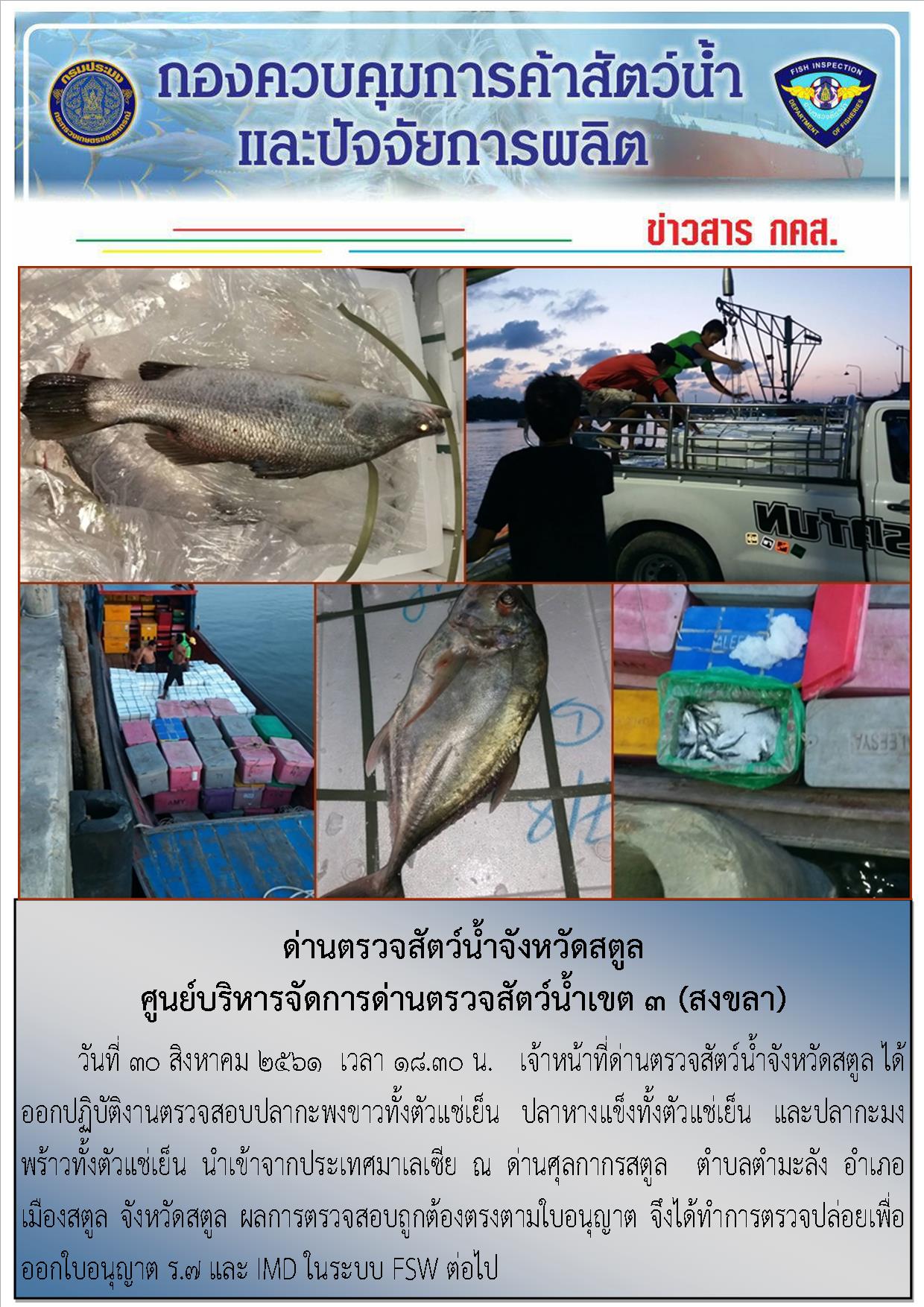 ประชาสัมพันธ์การปฏิบัติงานด่านตรวจสัตว์น้ำจังหวัดสตูล ประจำวันที่ 30 สิงหาคม 2561..คลิก