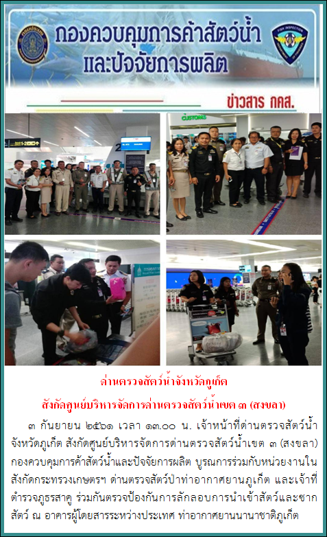 3 ก.ย. 2561 เวลา 13.00 น. เจ้าหน้าที่ด่านตรวจสัตว์น้ำจังหวัดภูเก็ต สังกัดศูนย์บริหารจัดการด่านตรวจสัตว์น้ำเขต 3 (สงขลา) กองควบคุมการค้าสัตว์น้ำและปัจจัยการผลิต บูรณการร่วมกับหน่วยงานในสังกัดกระทรวงเกษตรฯ ด่านตรวจสัตว์ป่าท่าอากาศยานภูเก็ต และเจ้าที่ตำรวจภูธรสาคู ร่วมกันตรวจป้องกันการลักลอบการนำเข้าสัตว์และซากสัตว์ ณ อาคารผู้โดยสารระหว่างประเทศ ท่าอากาศยานนานาชาติภูเก็ต..คลิก
