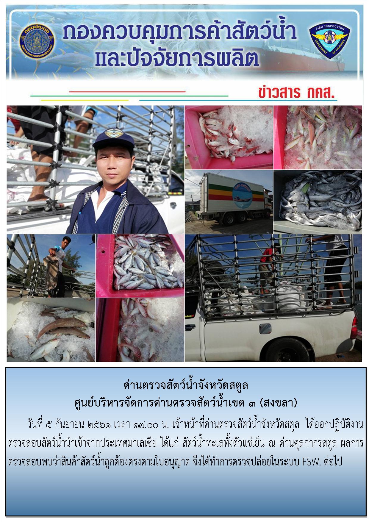 ประชาสัมพันธ์การปฏิบัติงานด่านตรวจสัตว์น้ำจังหวัดสตูล ประจำวันที่ 5 กันยายน  2561..คลิก