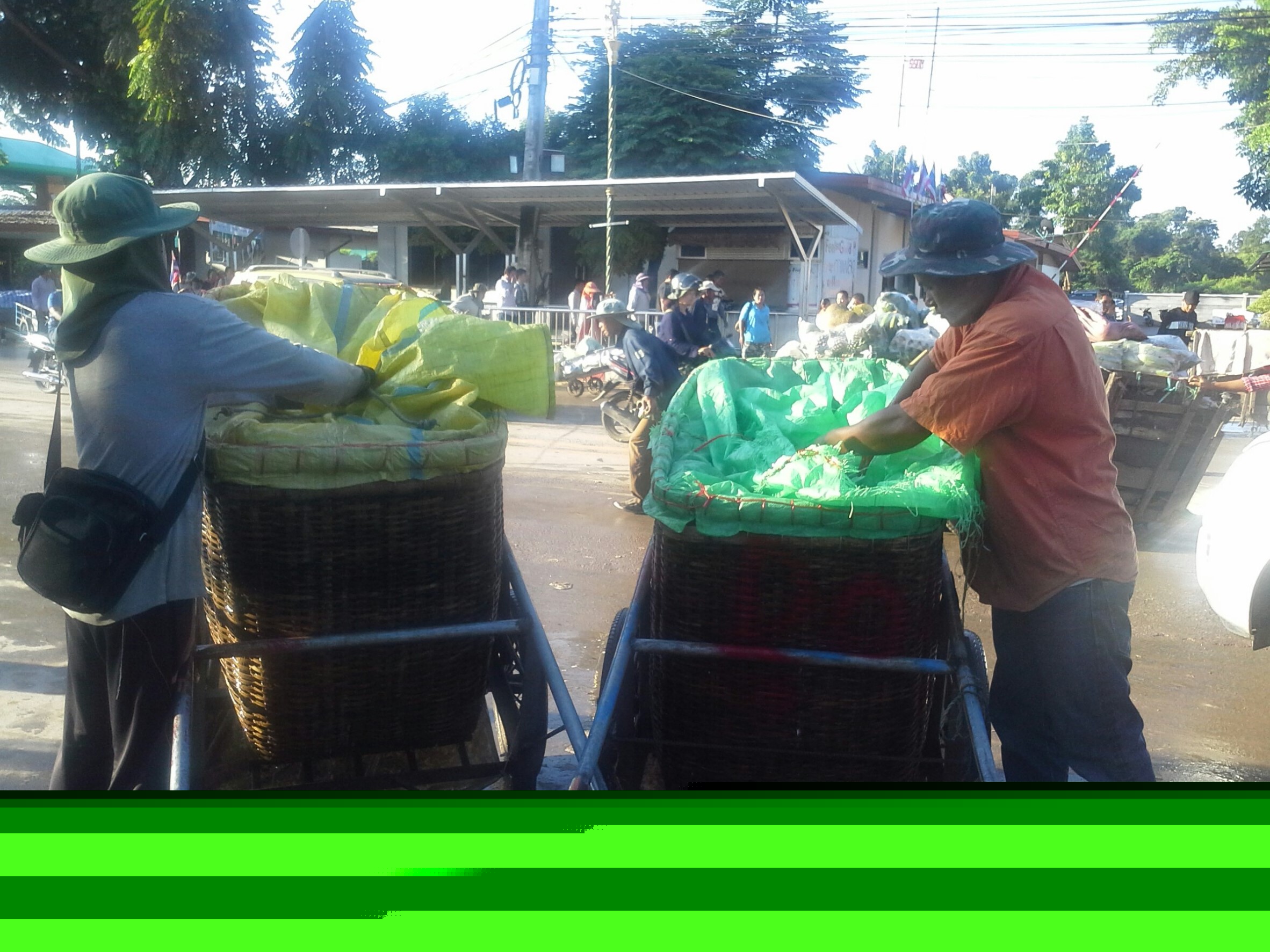 ตรวจสินค้าประมงที่นำเข้า ส่งออก ทางด่านพรมแดนถาวรคลองลึก..คลิก
