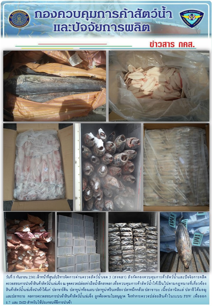 เจ้าหน้าที่ศูนย์บริหารจัดการด่านตรวจสัตว์น้ำเขต 3 (สงขลา) สังกัดกองควบคุมการค้าสัตว์น้ำและปัจจัยการผลิต ตรวจสอบการนำเข้าสินค้าสัตว์น้ำประเภทตู้คอนเทนเนอร์ ณ จุดตรวจปล่อยท่าเรือน้ำลึกสงขลา..คลิก