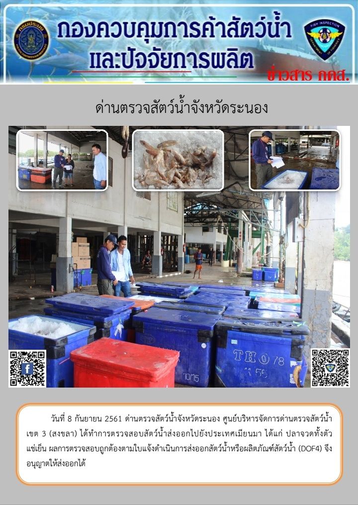 ตรวจสอบสัตว์น้ำส่งออกไปยังประเทศเมียนมา