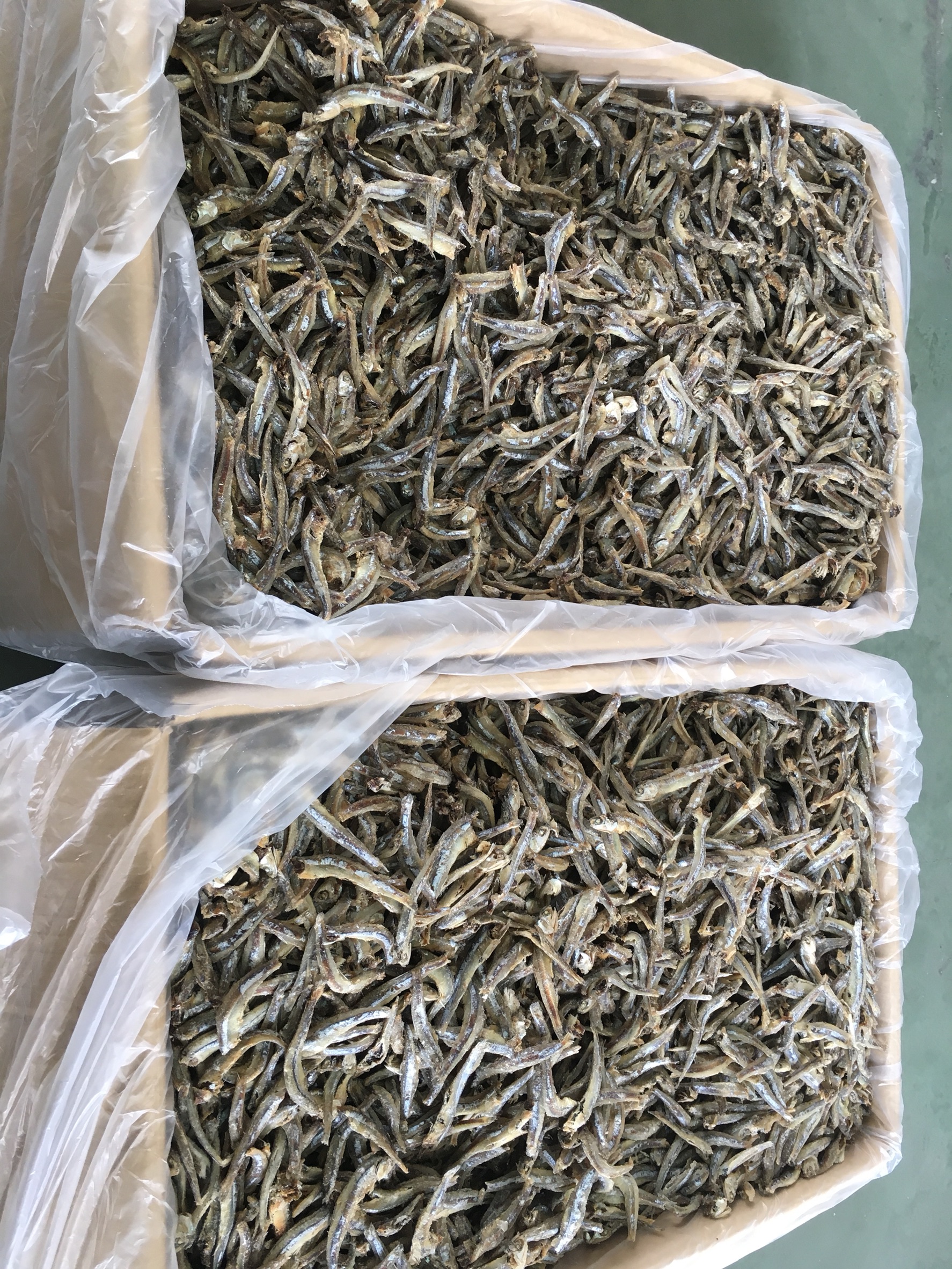 เจ้าหน้าที่ศูนย์ฯ ตรวจสอบตู้คอนเทรนเนอร์สินค้าปลากะตักตากแห้ง  ส่งออกไปยังสาธารณรัฐประชาชนจีน..คลิก