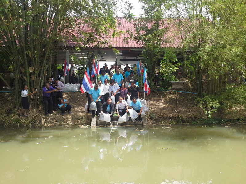 สนับสนุนพันธุ์ปลากินพืชเพื่อปล่อยวันประมงแห่งชาติ..คลิก