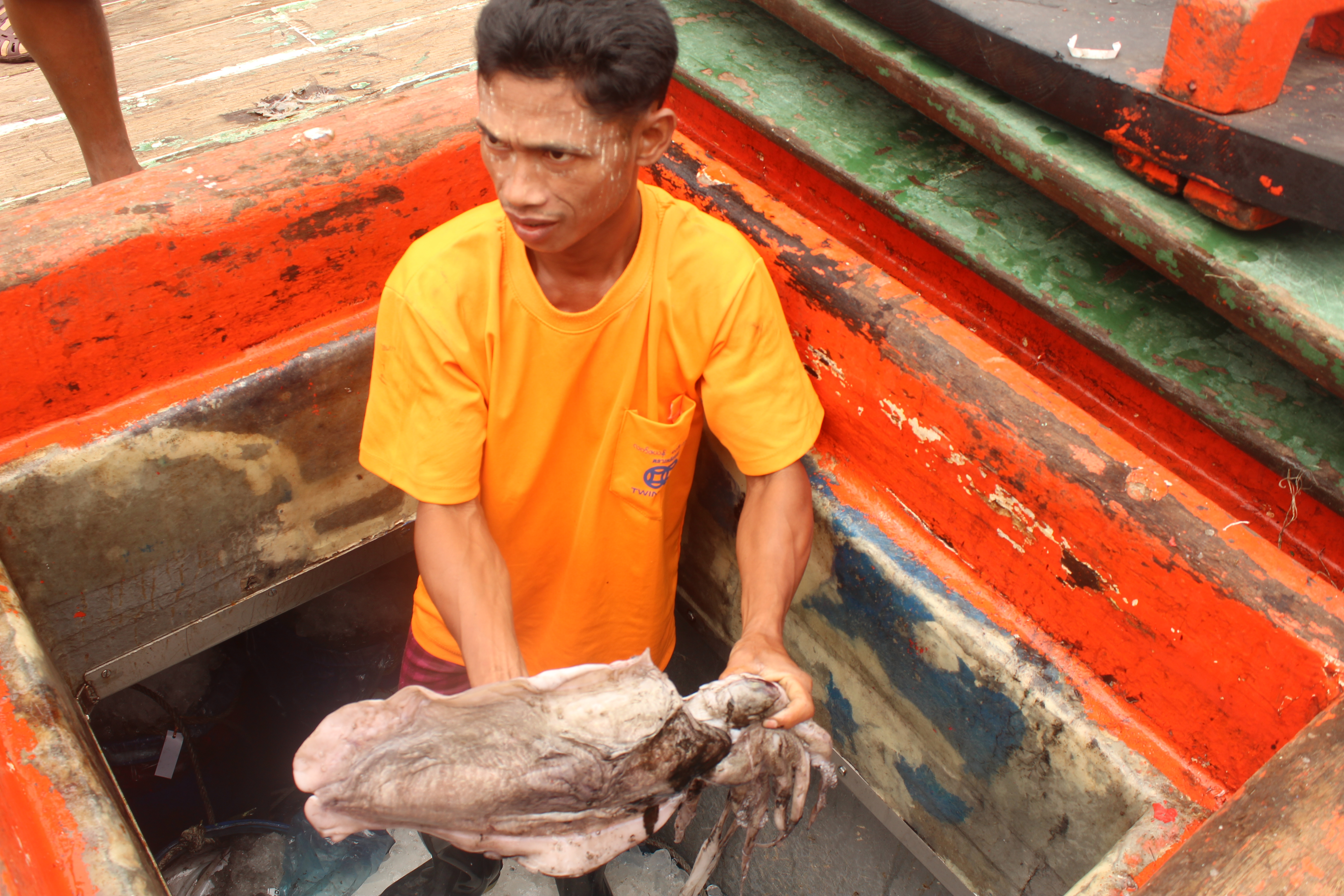 ตรวจสอบเรือและสินค้านำเข้าจากประเทศ MYANMAR