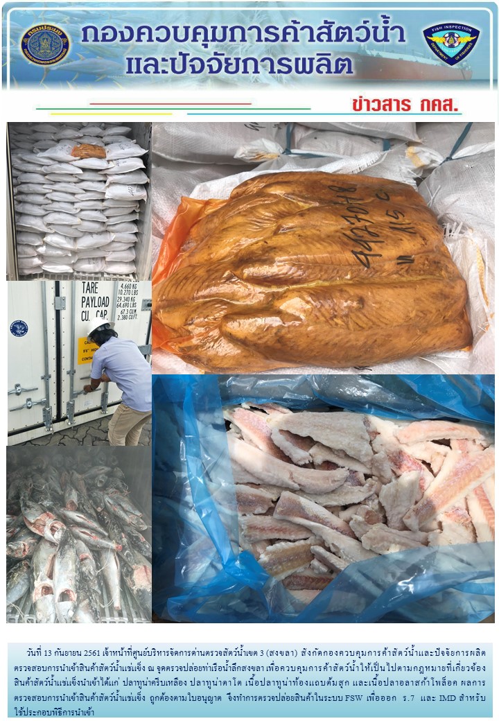เจ้าหน้าที่ศูนย์บริหารจัดการด่านตรวจสัตว์น้ำเขต 3 (สงขลา) สังกัดกองควบคุมการค้าสัตว์น้ำและปัจจัยการผลิต ตรวจสอบการนำเข้าสินค้าสัตว์น้ำประเภทตู้คอนเทนเนอร์ ณ จุดตรวจปล่อยท่าเรือน้ำลึกสงขลา..คลิก