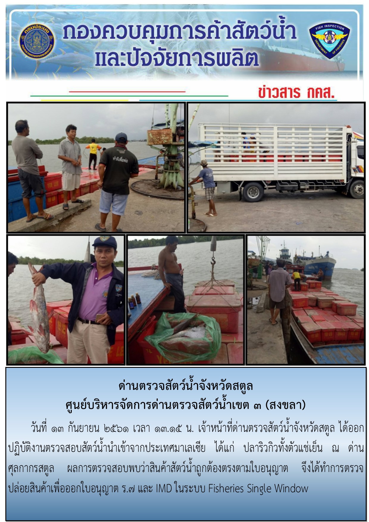 ประชาสัมพันธ์การปฏิบัติงานด่านตรวจสัตว์น้ำจังหวัดสตูล ประจำวันที่ 13 กันยายน 2561..คลิก