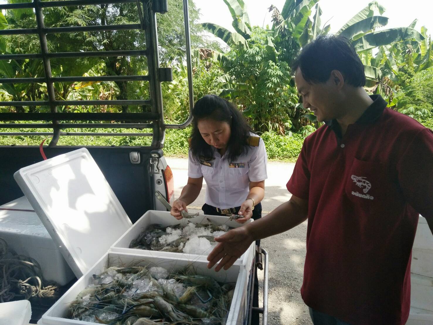 ตรวจสอบสินค้าสัตว์น้ำส่งออกไปยังสาธารณรัฐแห่งสหภาพเมียนมา ผ่านทางจุดผ่านแดนถาวรสะพานข้ามแม่น้ำสายแห่งที่ 1 อำเภอแม่สาย จังหวัดเชียงราย..คลิก