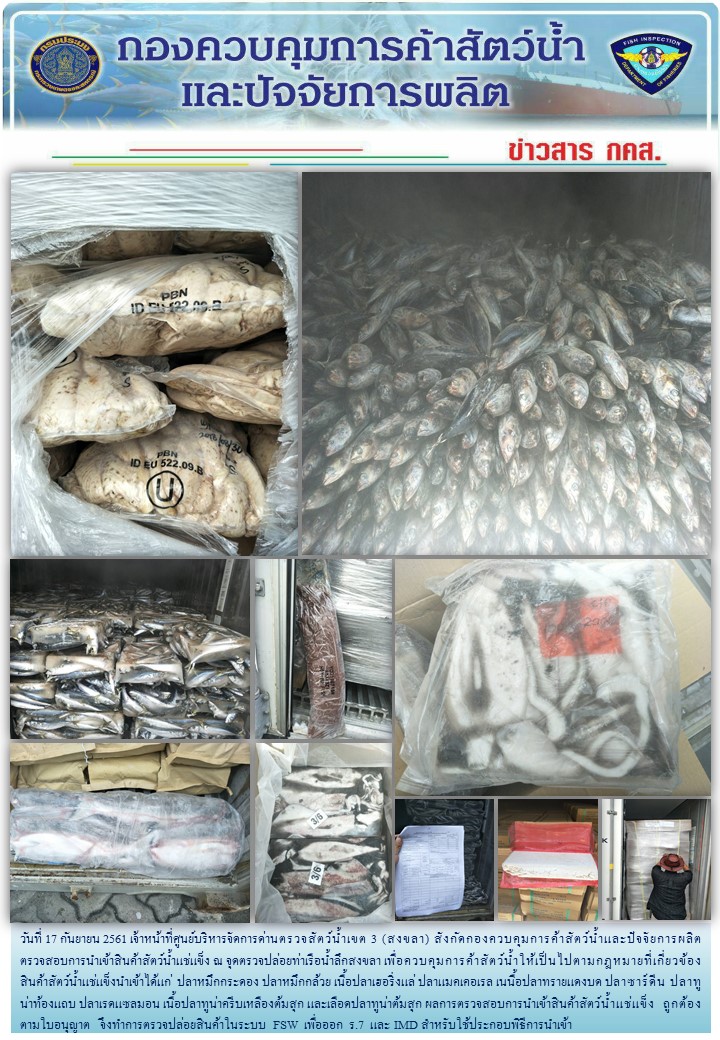 เจ้าหน้าที่ศูนย์บริหารจัดการด่านตรวจสัตว์น้ำเขต 3 (สงขลา) สังกัดกองควบคุมการค้าสัตว์น้ำและปัจจัยการผลิต ตรวจสอบการนำเข้าสินค้าสัตว์น้ำประเภทตู้คอนเทนเนอร์ ณ จุดตรวจปล่อยท่าเรือน้ำลึกสงขลา..คลิก