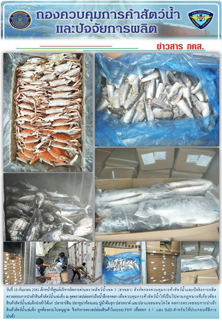 เจ้าหน้าที่ศูนย์บริหารจัดการด่านตรวจสัตว์น้ำเขต 3 (สงขลา) สังกัดกองควบคุมการค้าสัตว์น้ำและปัจจัยการผลิต ตรวจสอบการนำเข้าสินค้าสัตว์น้ำประเภทตู้คอนเทนเนอร์ ณ จุดตรวจปล่อยท่าเรือน้ำลึกสงขลา..คลิก