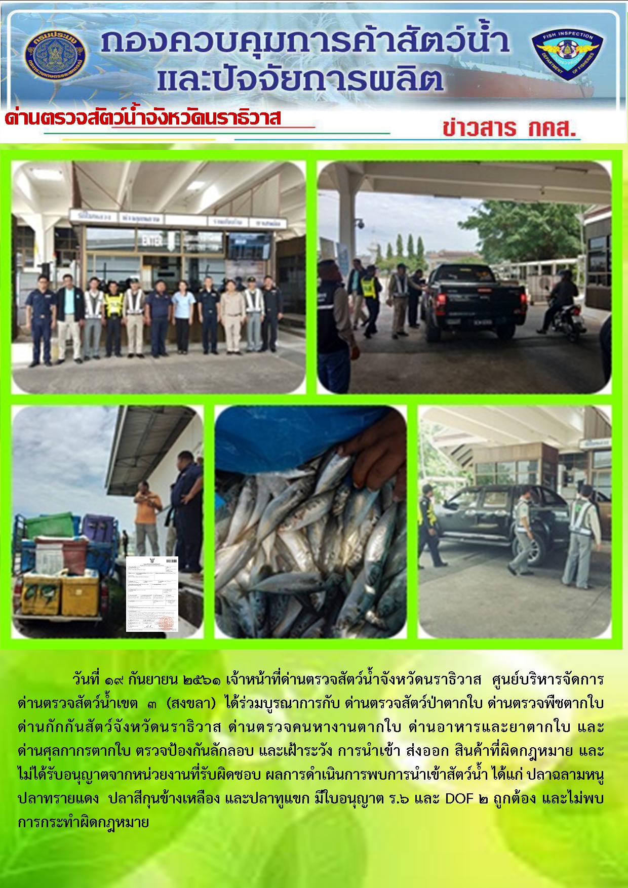 ประชาสัมพันธ์ประจำวันที่ 19 กันยายน 2561..คลิก