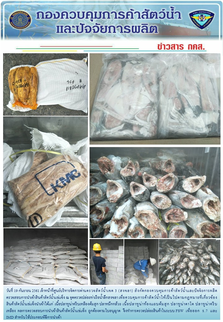 เจ้าหน้าที่ศูนย์บริหารจัดการด่านตรวจสัตว์น้ำเขต 3 (สงขลา) สังกัดกองควบคุมการค้าสัตว์น้ำและปัจจัยการผลิต ตรวจสอบการนำเข้าสินค้าสัตว์น้ำประเภทตู้คอนเทนเนอร์ ณ จุดตรวจปล่อยท่าเรือน้ำลึกสงขลา..คลิก