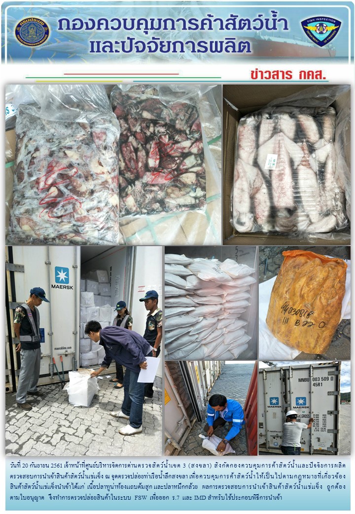เจ้าหน้าที่ศูนย์บริหารจัดการด่านตรวจสัตว์น้ำเขต 3 (สงขลา) สังกัดกองควบคุมการค้าสัตว์น้ำและปัจจัยการผลิต ตรวจสอบการนำเข้าสินค้าสัตว์น้ำประเภทตู้คอนเทนเนอร์ ณ จุดตรวจปล่อยท่าเรือน้ำลึกสงขลา..คลิก