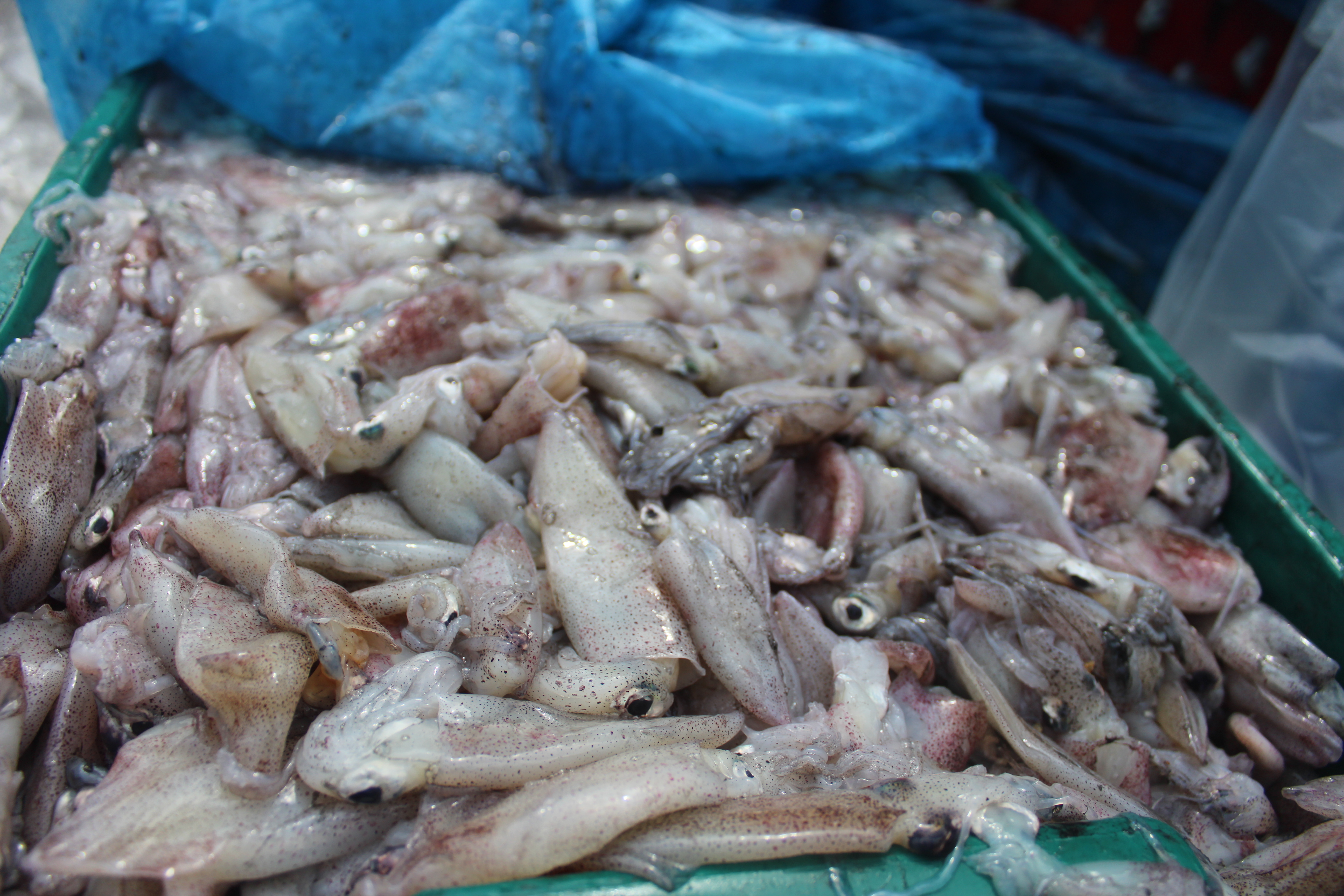 สินค้านำเข้าจากประเทศเมียนมา