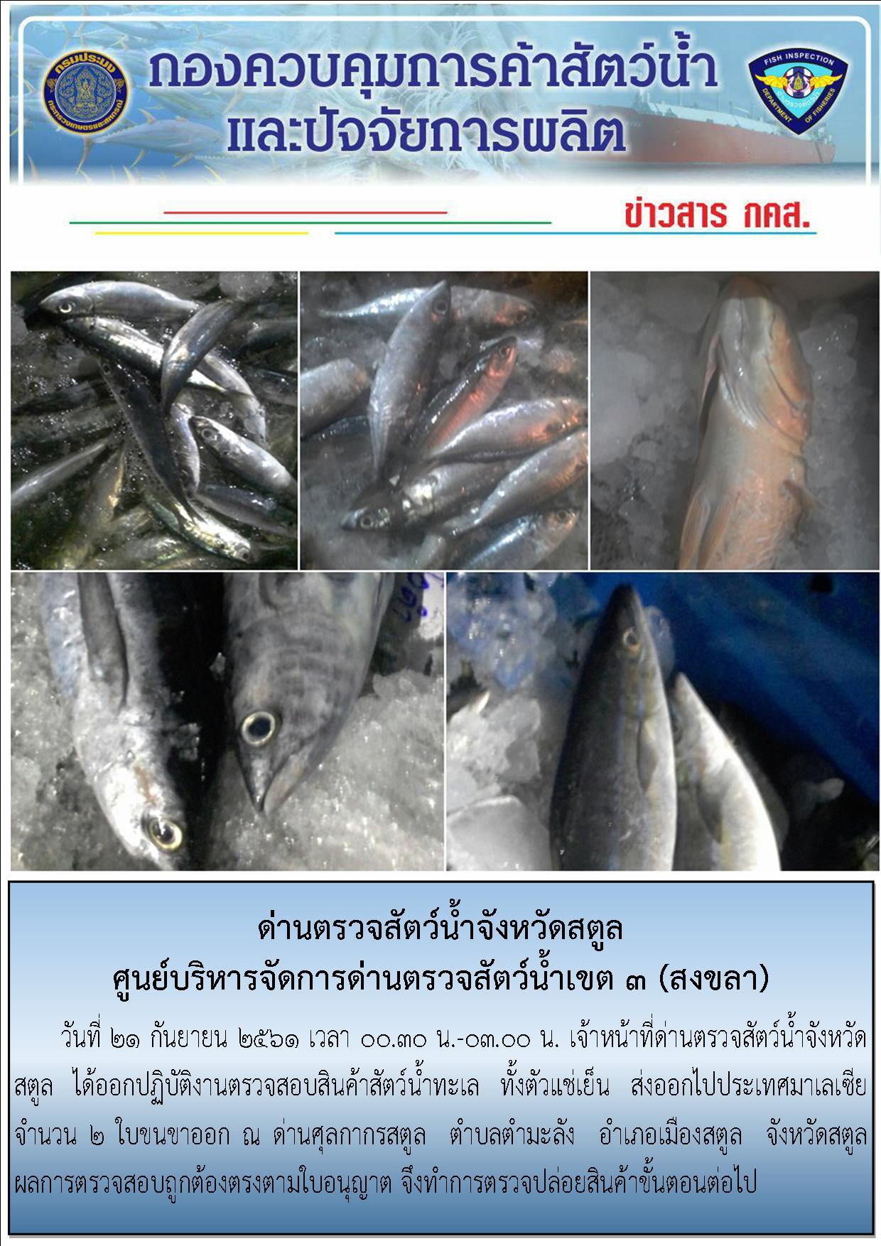 ประชาสัมพันธ์การปฏิบัติงานด่านตรวจสัตว์น้ำจังหวัดสตูล ประจำวันที่  21 กันยายน  2561..คลิก