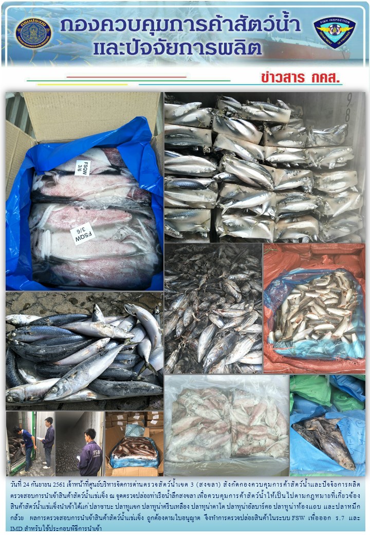 เจ้าหน้าที่ศูนย์บริหารจัดการด่านตรวจสัตว์น้ำเขต 3 (สงขลา) สังกัดกองควบคุมการค้าสัตว์น้ำและปัจจัยการผลิต ตรวจสอบการนำเข้าสินค้าสัตว์น้ำประเภทตู้คอนเทนเนอร์ ณ จุดตรวจปล่อยท่าเรือน้ำลึกสงขลา..คลิก