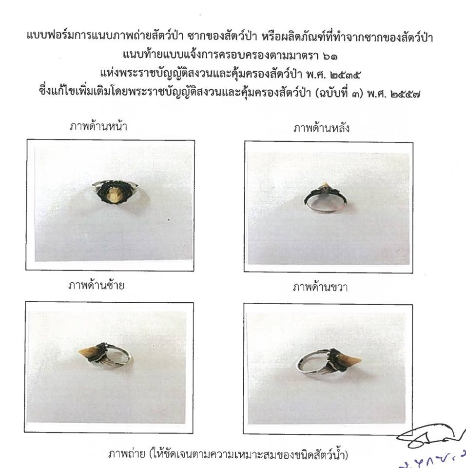 แจ้งการครอบครองสัตว์ป่าคุ้มครองชั่วคราว ซากของสัตว์ป่าคุ้มครอง หรือผลิตภัณฑ์ที่ทำมาจากซากของสัตว์ป่าคุ้มครอง ตั้งแต่วันที่ 1 กันยายน 2561 ถึงวันที่ 29 พฤศจิกายน 2561..คลิก
