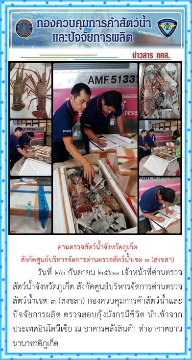 วันที่ 26 กันยายน 2561 เจ้าหน้าที่ด่านตรวจสัตว์น้ำจังหวัดภูเก็ต สังกัดศูนย์บริหารจัดการด่านตรวจสัตว์น้ำเขต 3 (สงขลา) กองควบคุมการค้าสัตว์น้ำและปัจจัยการผลิต ตรวจสอบกุ้งมังกรมีชีวิต นำเข้าจากประเทศอินโดนีเซีย ณ อาคารคลังสินค้า ท่าอากาศยานนานาชาติภูเก็ต..คลิก