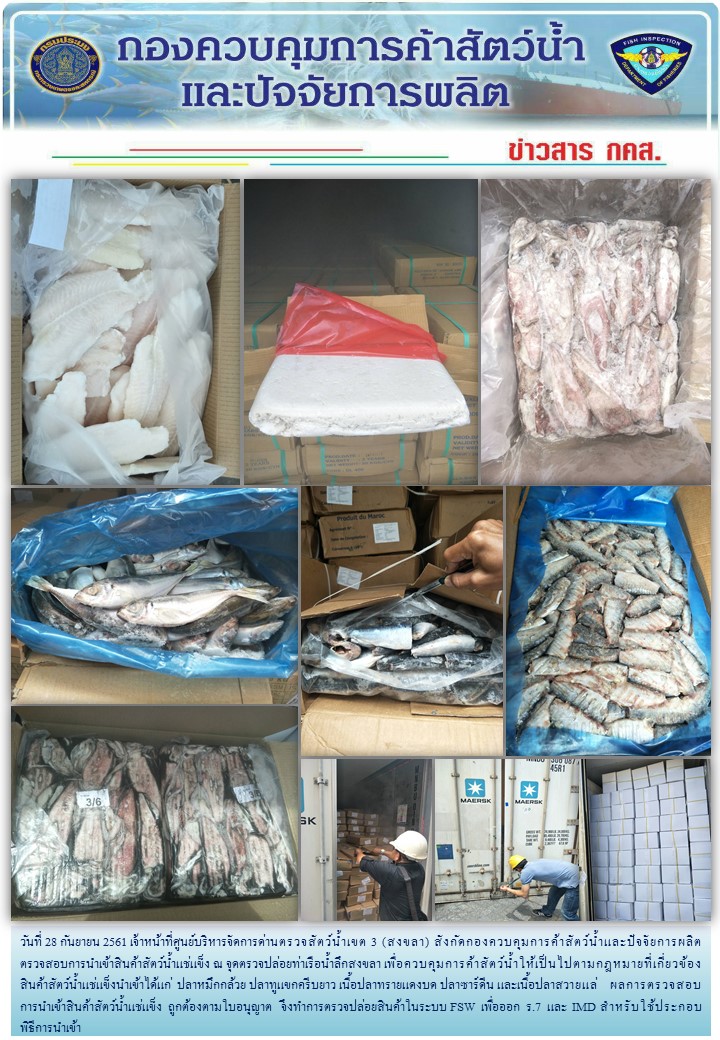 เจ้าหน้าที่ศูนย์บริหารจัดการด่านตรวจสัตว์น้ำเขต 3 (สงขลา) สังกัดกองควบคุมการค้าสัตว์น้ำและปัจจัยการผลิต ตรวจสอบการนำเข้าสินค้าสัตว์น้ำประเภทตู้คอนเทนเนอร์ ณ จุดตรวจปล่อยท่าเรือน้ำลึกสงขลา..คลิก
