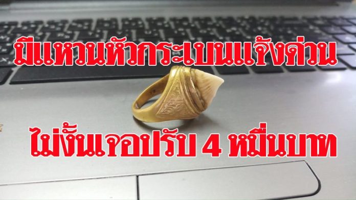1 ก.ย. - 29 พ.ย. 61 กรมประมงประกาศให้ขึ้นทะเบียนสัตว์น้ำ 12 ชนิด