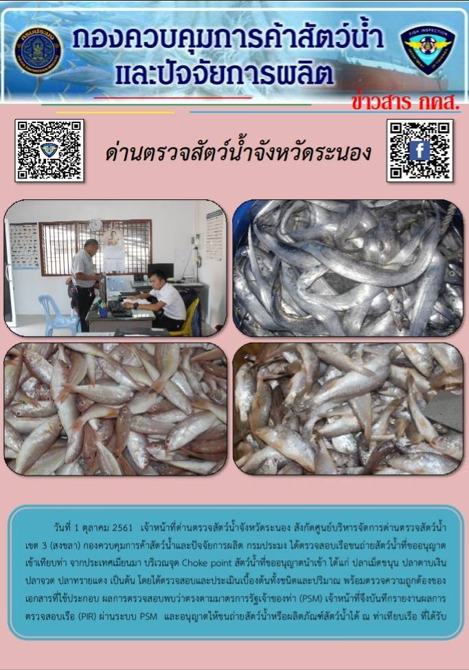 ตรวจสอบเรือและสินค้านำเข้าจากประเทศ MYANMAR