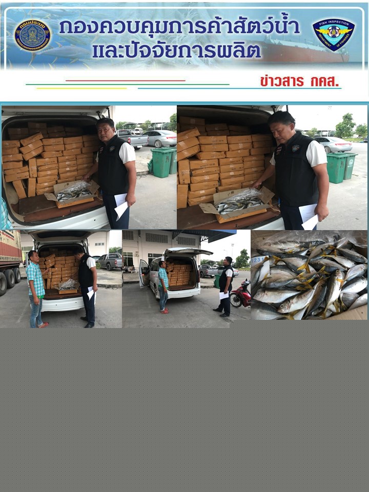 ข่าวประชาสัมพันธ์ด่านตรวจสัตว์น้ำจังหวัดมุกดาหาร วันที่ 2 ตุลาคม 2561..คลิก