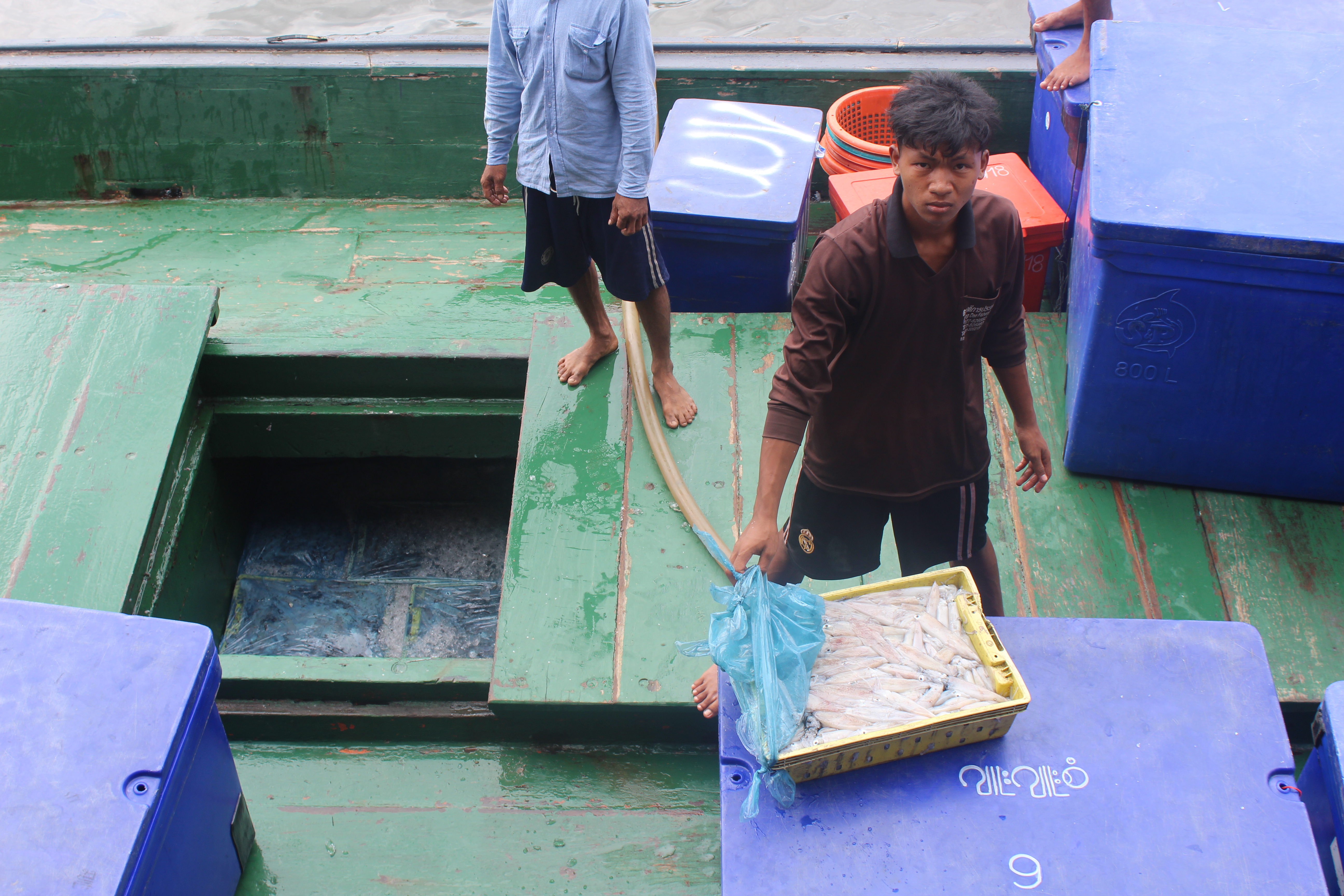 ตรวจสอบเรือและสินค้านำเข้าจากประเทศ MYANMAR..คลิก
