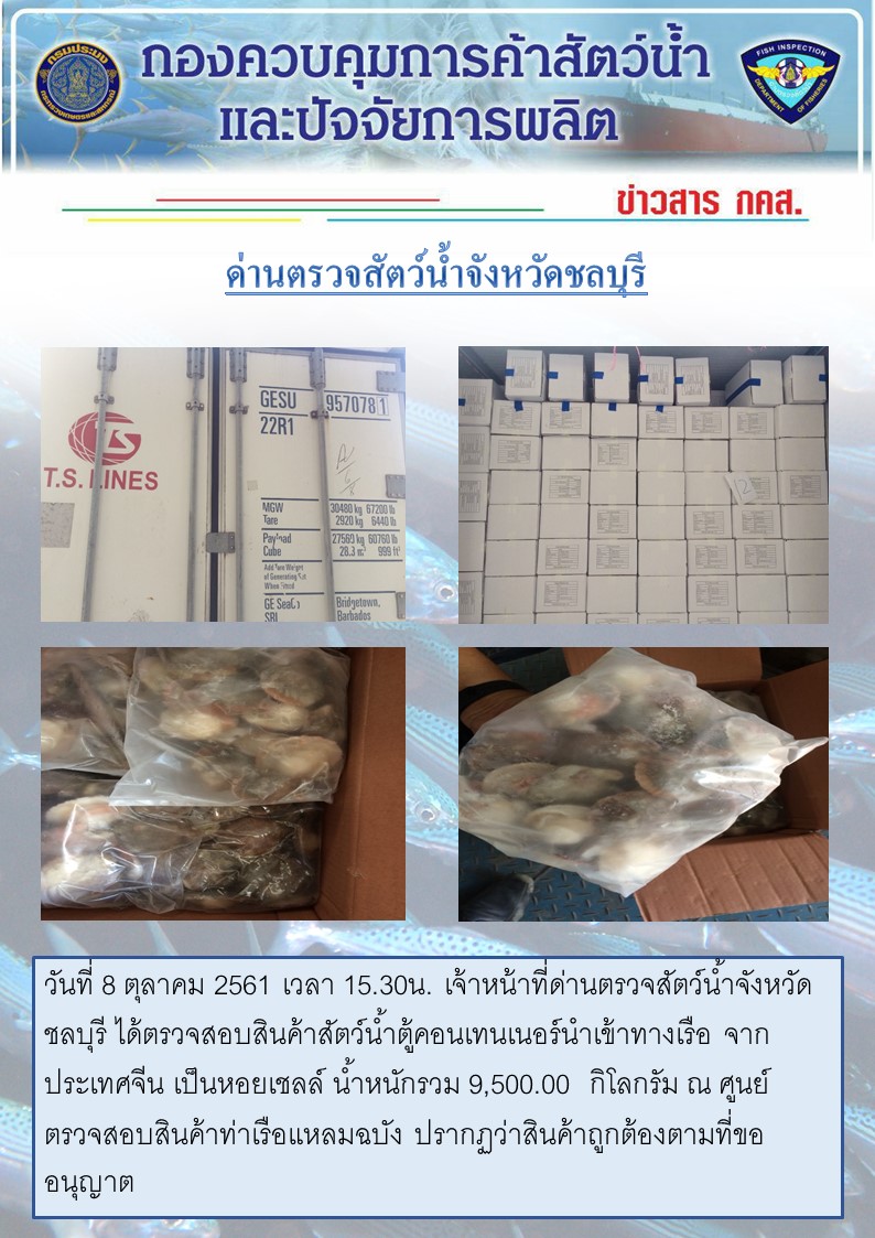 การปฏิบัติงานตรวจสอบสินค้าสัตว์น้ำตู้คอนเทรนเนอร์นำเข้าทางเรือประจำวันที่ 8 ตุลาคม 2561..คลิก