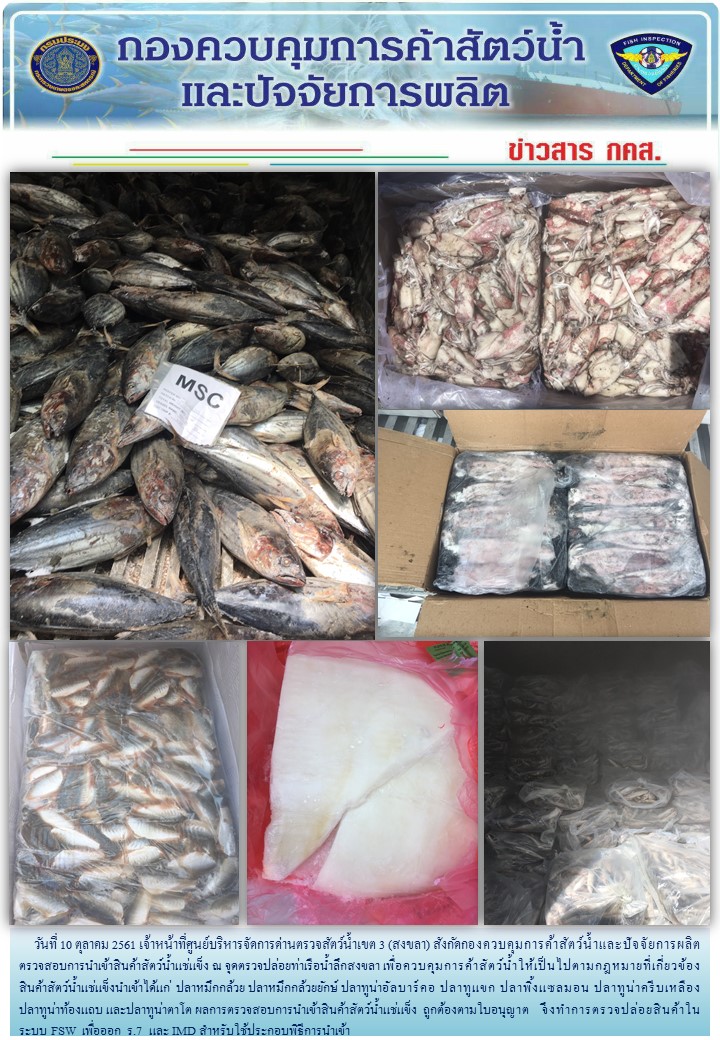 เจ้าหน้าที่ศูนย์บริหารจัดการด่านตรวจสัตว์น้ำเขต 3 (สงขลา) สังกัดกองควบคุมการค้าสัตว์น้ำและปัจจัยการผลิต ตรวจสอบการนำเข้าสินค้าสัตว์น้ำประเภทตู้คอนเทนเนอร์ ณ จุดตรวจปล่อยท่าเรือน้ำลึกสงขลา..คลิก