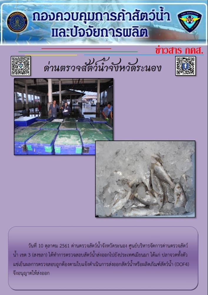 ตรวจสอบสัตว์น้ำส่งออกไปยังประเทศ MYANMAR..คลิก