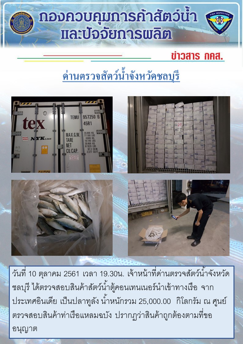การปฏิบัติงานตรวจสอบสินค้าสัตว์น้ำตู้คอนเทรนเนอร์นำเข้าทางเรือประจำวันที่ 10 ตุลาคม 2561..คลิก