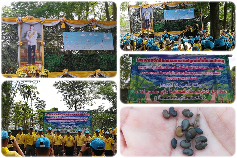 ร่วมกิจกรรมปลูกต้นไม้เฉลิมพระเกียรติ ตามโครงการจิตอาสาพระราชทานตามแนวพระราชดำริ “เราทำความ ดี ด้วยห้วยใจ”..คลิก