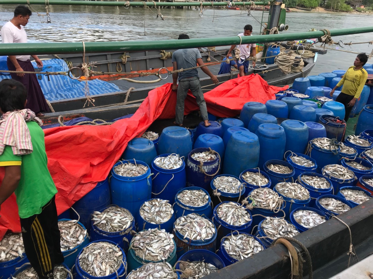 ตรวจสอบเรือและสินค้านำเข้าจากประเทศ MYANMAR